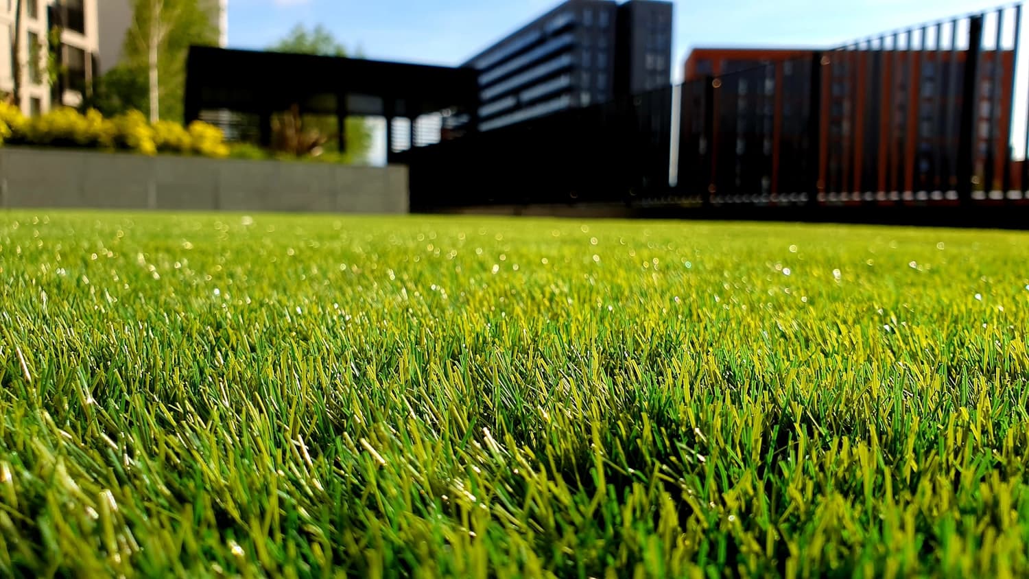 A plain, empty back lawn before landscaping
