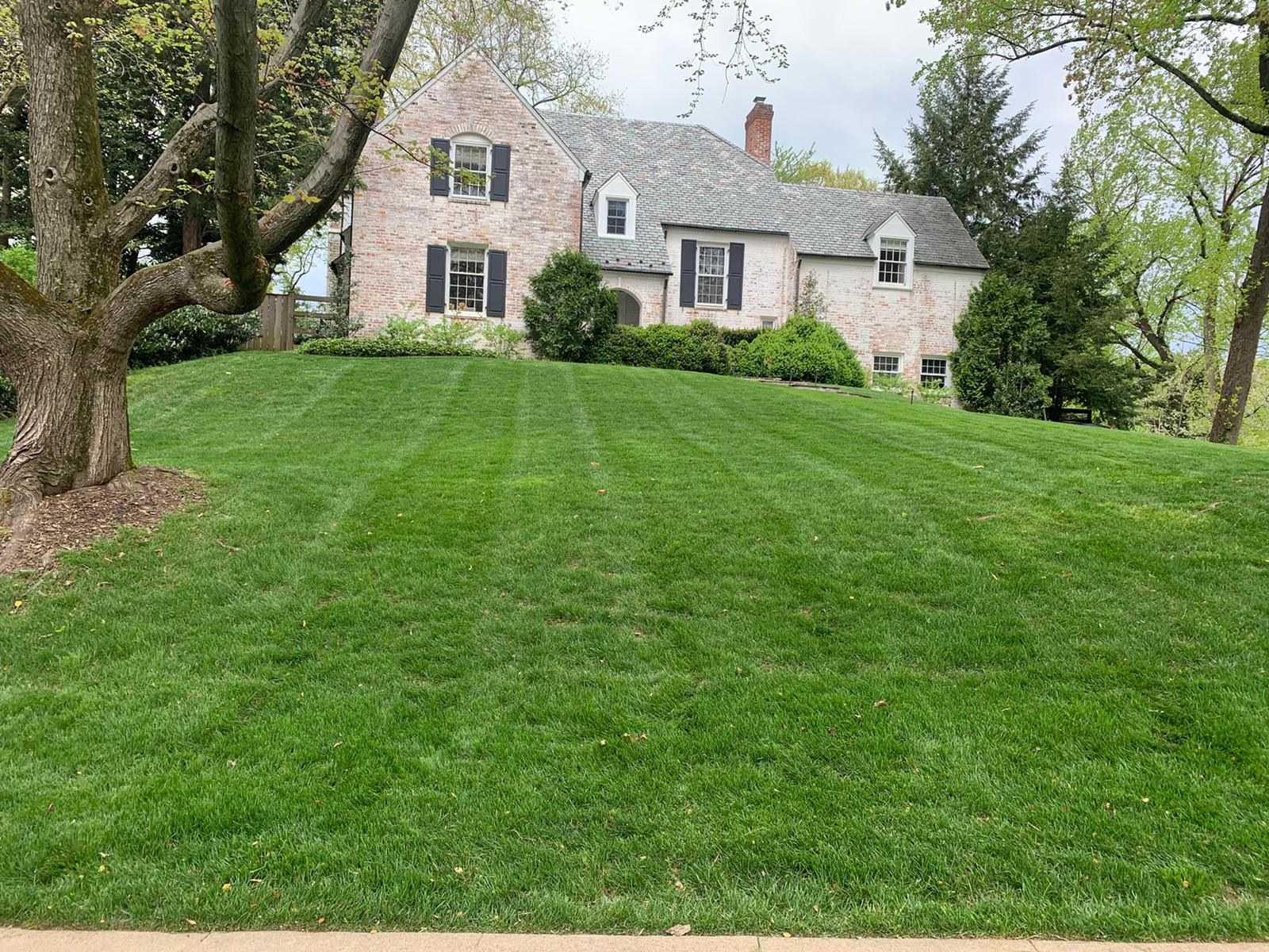 Newly laid sod lawn with cut mulch beds, a paver step and a stone path set in gravel