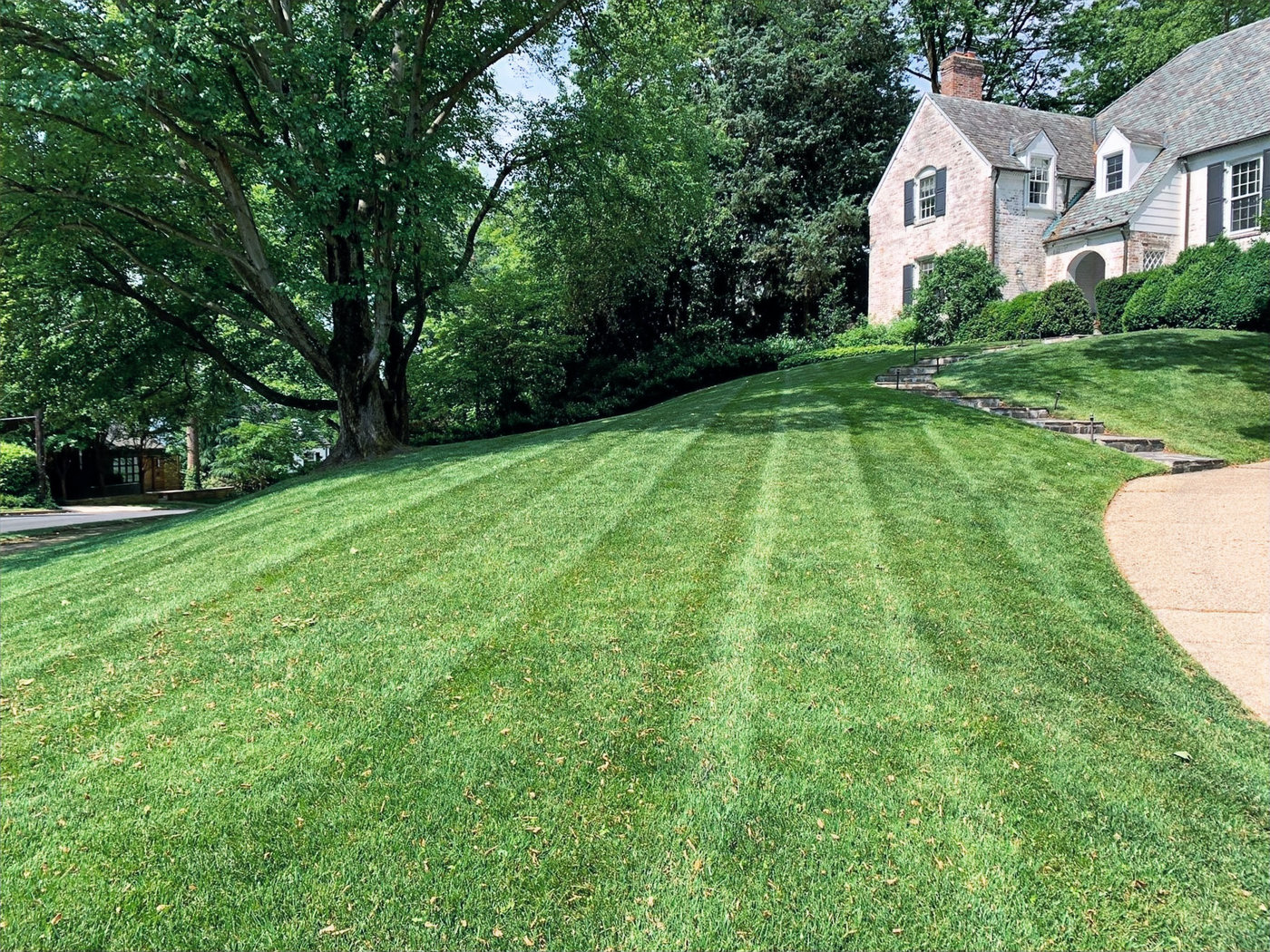 Recent landscaping work