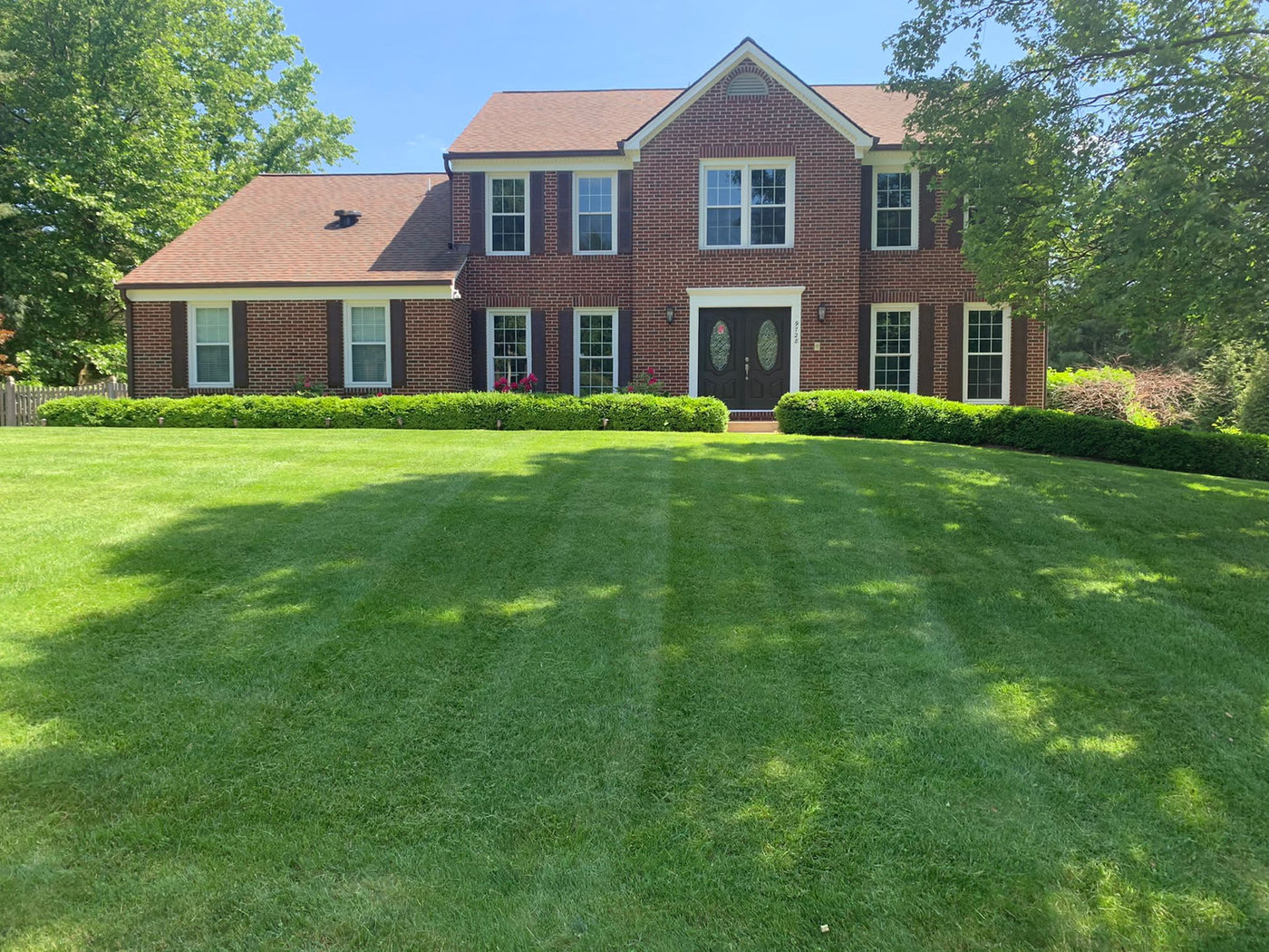 Recent landscaping work